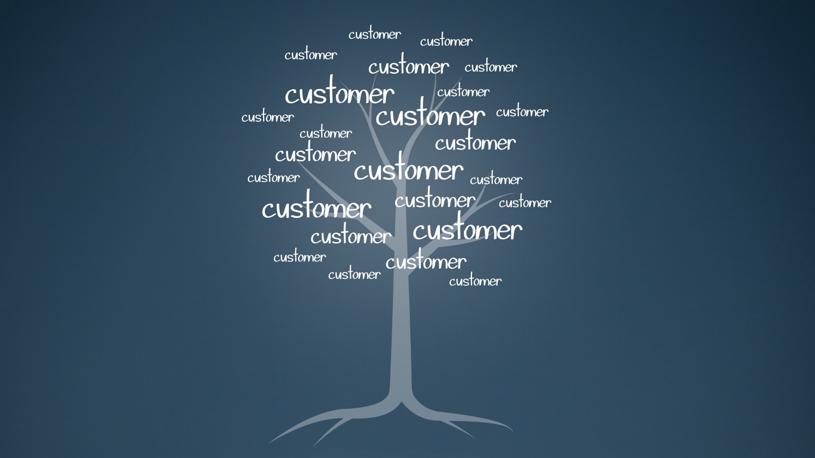 Why Family-Owned Cleaning Companies Deliver Better Long-Term Results